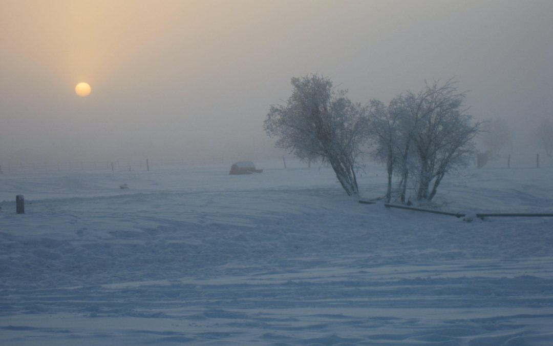 Voyage en Russie